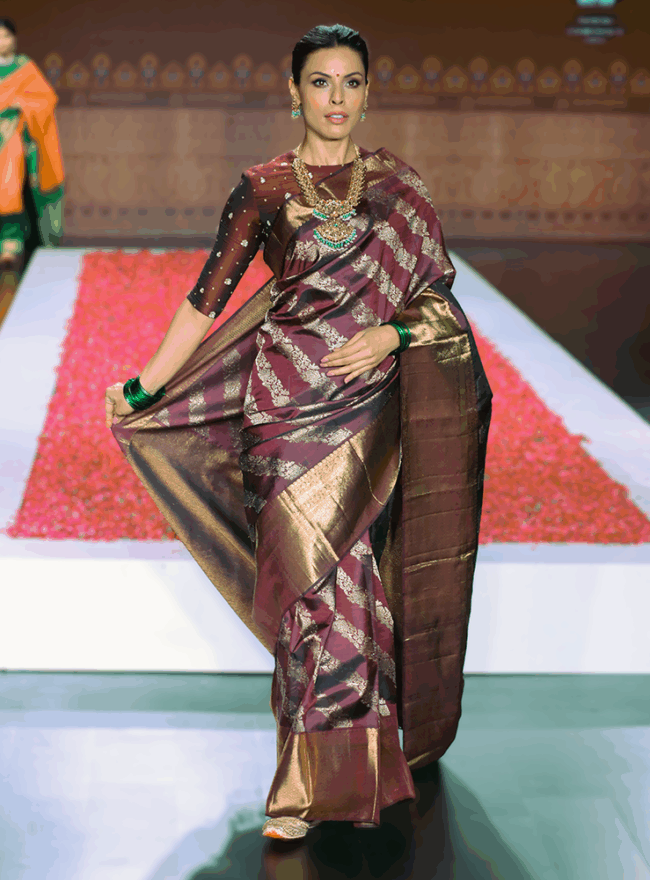 Maroonish Chocolate Brown Kanchipuram Saree