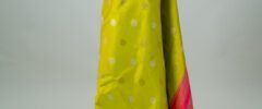 Lime Green Kanjivaram saree