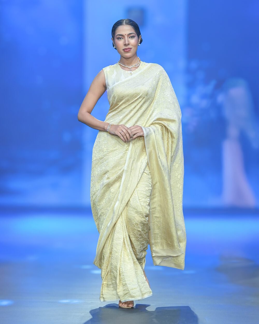 Pearl White Georgette Banaras saree